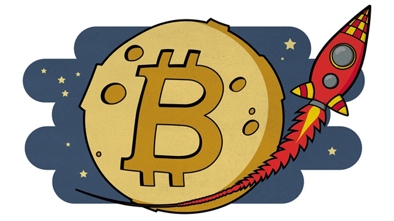 Bee Network 蜜蜂网链 App 界面演示